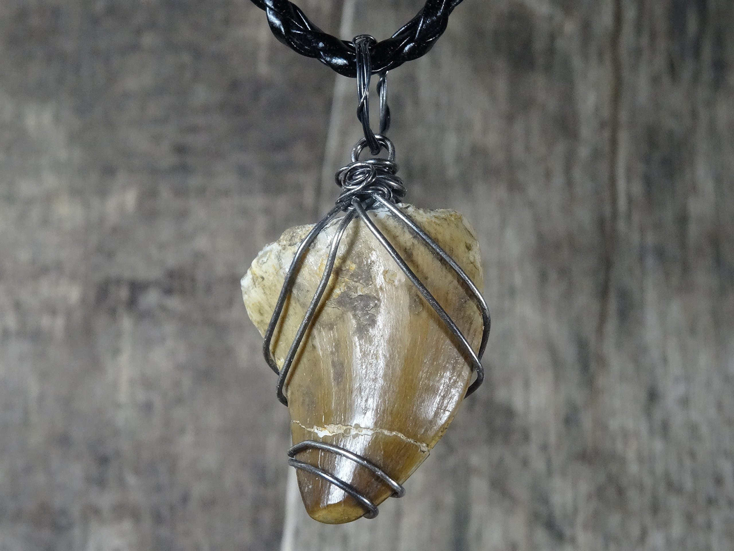 Real Large Mosasaurus Tooth Pendant, Oxidized Sterling Silver, Real Dinosaur Fossil Pendants, Dino Jewelry, Vulture Culture, Oddities and Curiosities