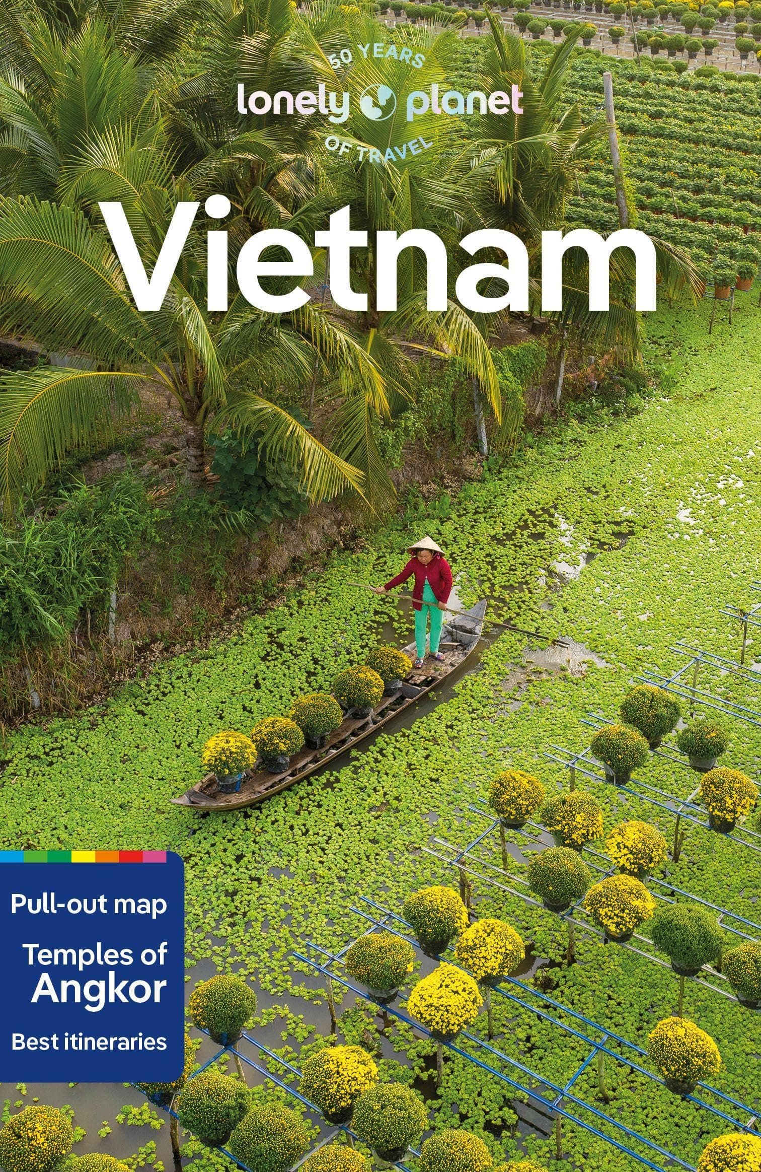 Lonely Planet Vietnam: Detailed Itineraries | Travel Like a Local | Insider Tips | Covers Hanoi & Halong Bay, Ho Chi Minh City, Hue and Hoi An PLUS Angkor Wat (Travel Guide)