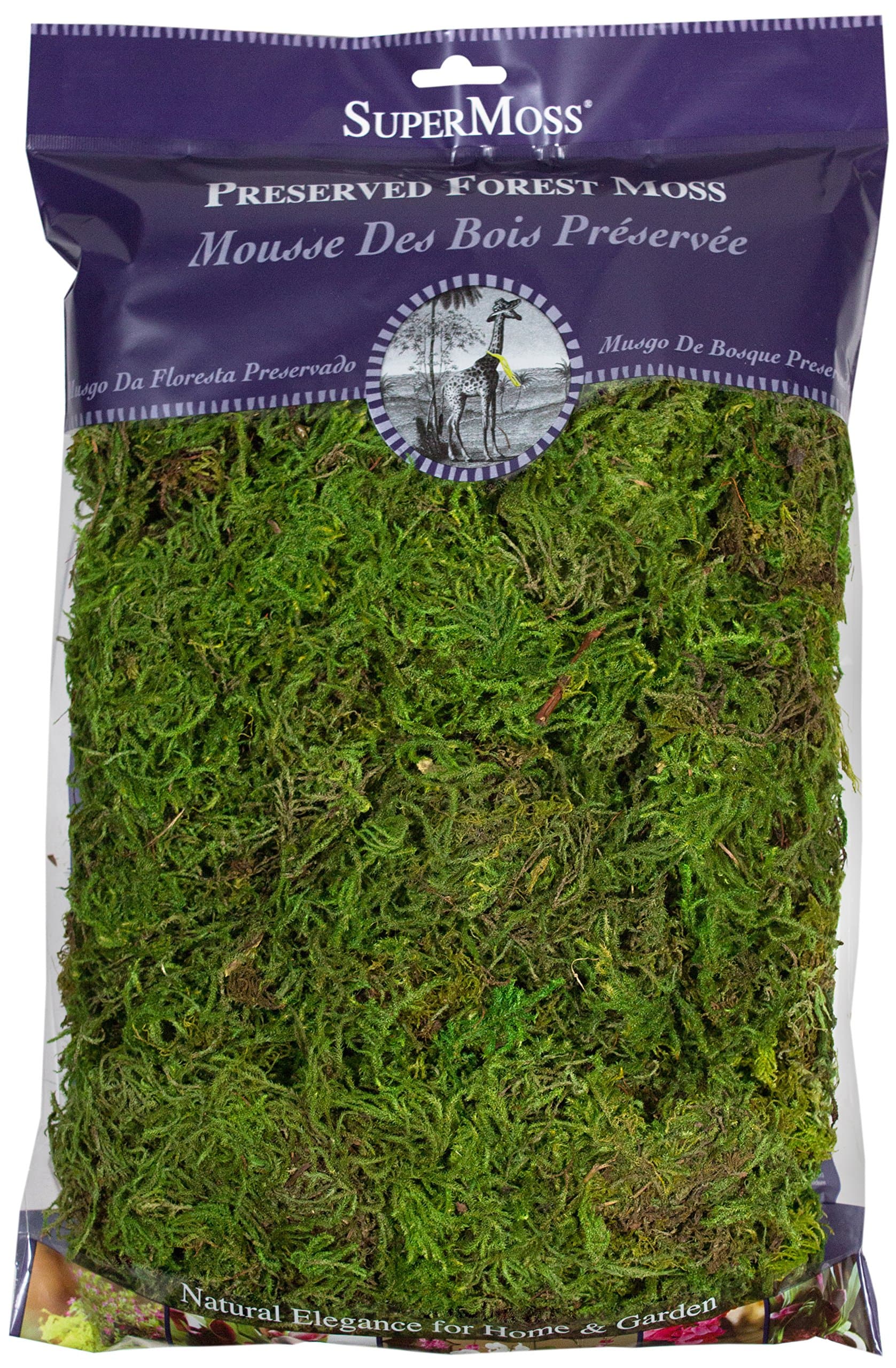 (25322) Forest Moss Preserved, Fresh Green, 8oz