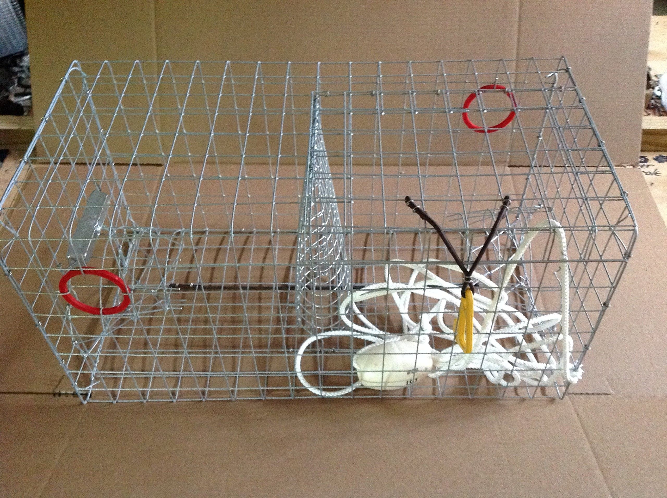 Maryland Blue crab pot trap Chesapeake Atlantic blue crab Heavy Duty