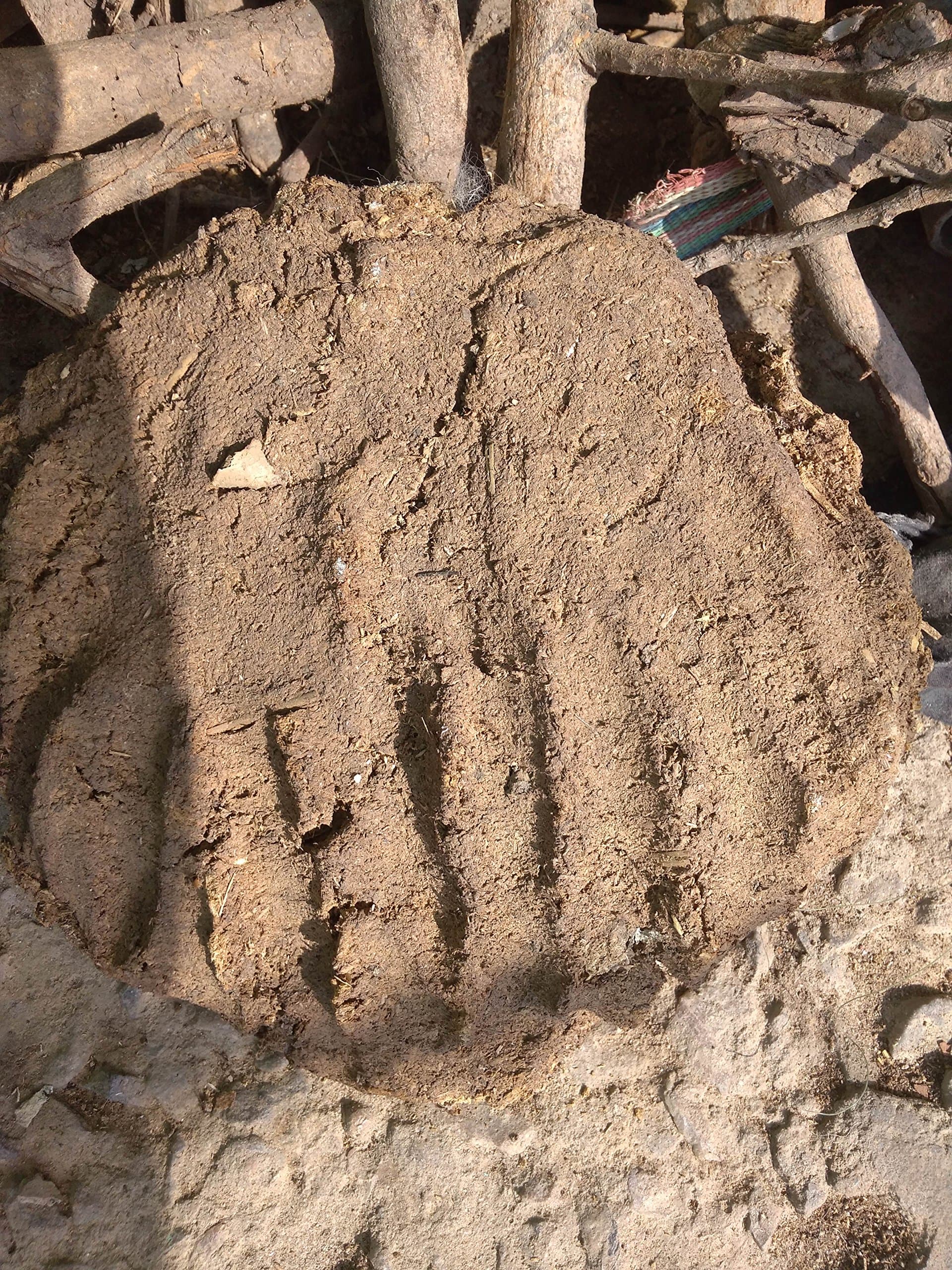 AsiaCraft Cow Dung Cakes (Brown)