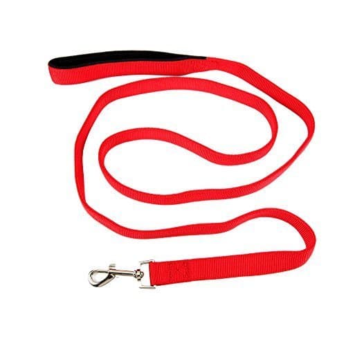 Petroad 2 Layer Dog Leash for Walking & Training, 6 Feet, Red