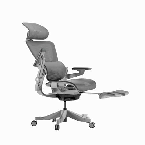 HINOMI H1 Pro V2 Ergonomic Office Chair with Footrest, Mesh Computer Chair for Home, Office, Gaming, Study (Grey, Standard)