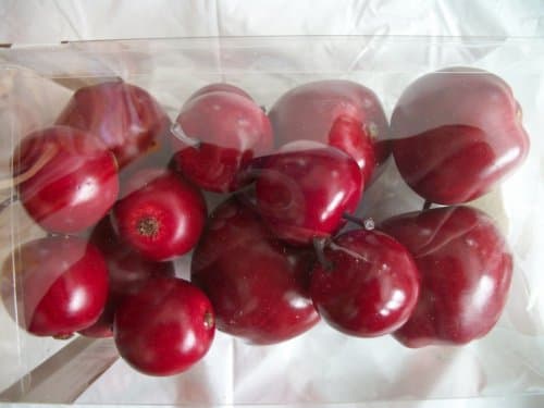 Mini Red Artificial Apples Set of 14