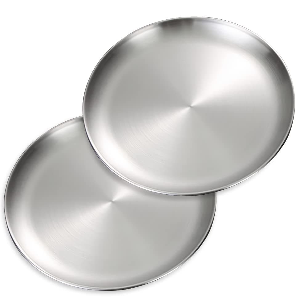 2 Pieces 10.2 Inch Stainless Steel Dinner Plates, Metal Dinner Dishes for Steak Salad, Stainless Steel Camping Outdoor Plate(Silver, 26cm)