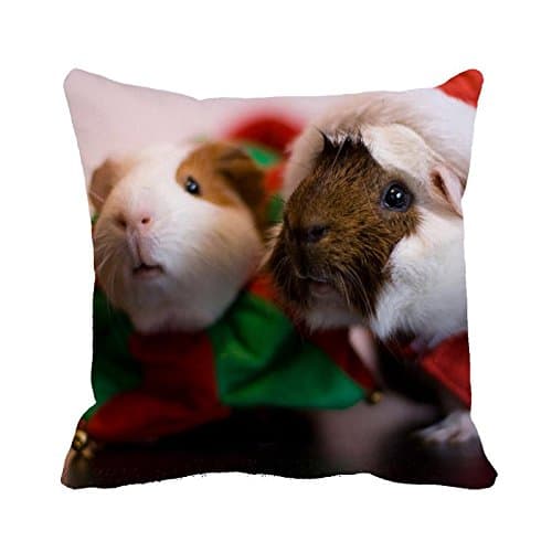 Decrotive Pillow Cases Santa Guinea Pig Cushion Cover 18" x 18"