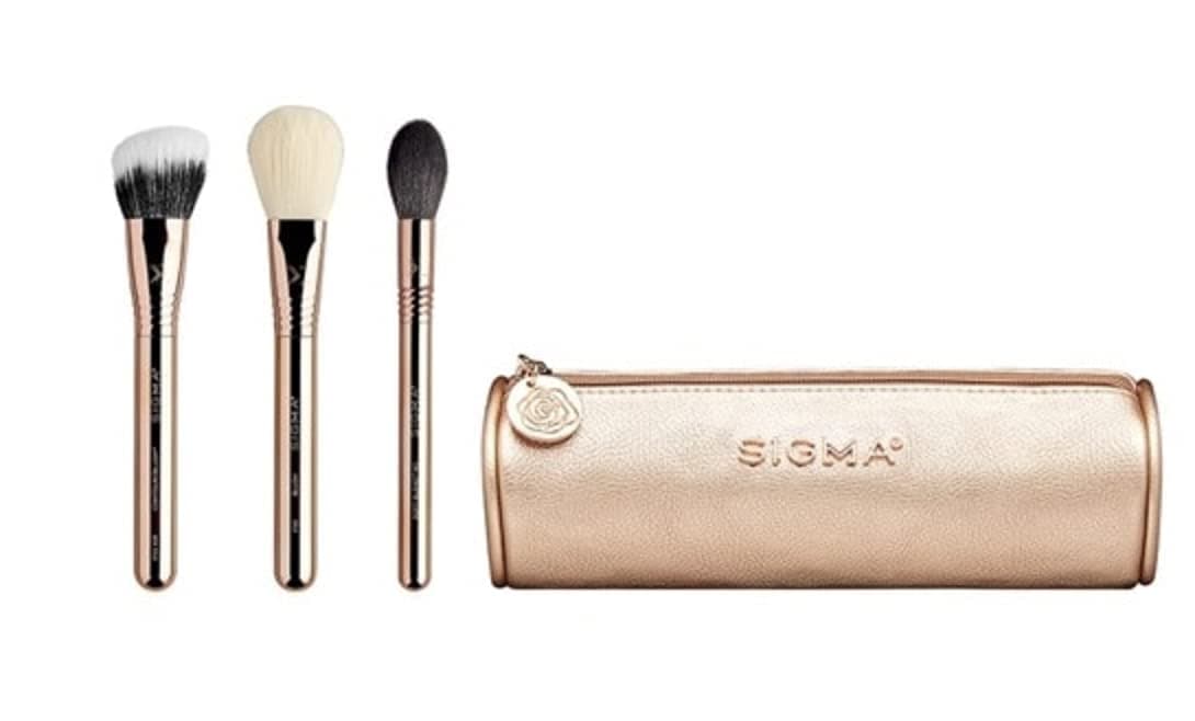 Bloom + Glow Brush Set - 3 Makeup Brushes with Gold Makeup Bag - Blush Brush, Contour Brush, and Setting Powder Brush with Rose Gold Makeup Brush Case