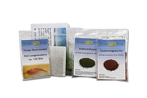 Triops Red Longicaudatus Tadpole Shrimp Starter Kit Ultra 150 eggs