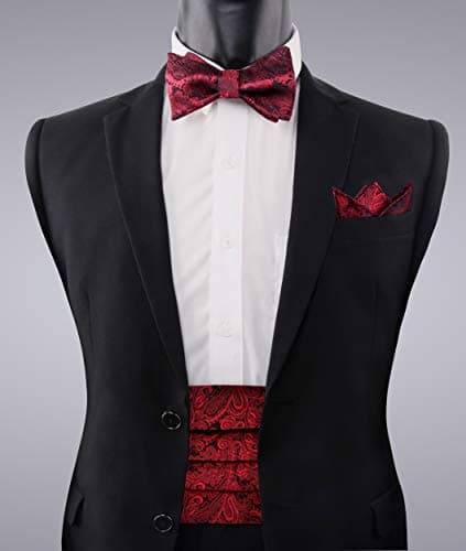 Alizeal Men's Paisley Cummerbund and Self-tied Bow Tie Hanky Set