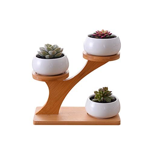 Plant Stand 3 Tier Bamboo Flower Pot Holder with 3 Ceramic Succulent Plant Pots Display Potted Rack for Home Garden Office Desktop Decoration