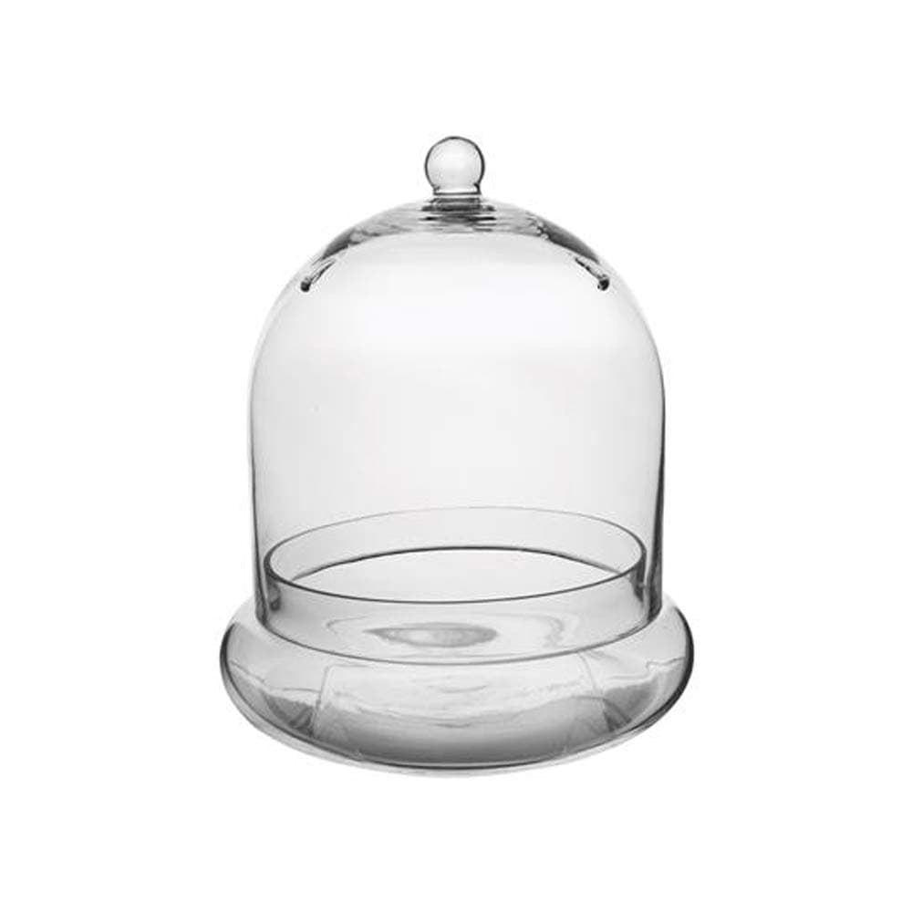 Round Terrarium Size: 11.38" H x 10" W x 10" D