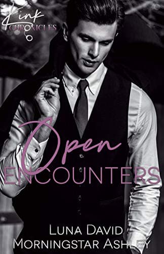 Open Encounters (Kink Chronicles Book 2) Kindle Edition