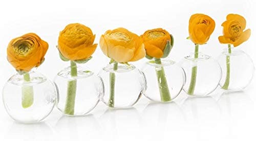 CHIVE ‘Caterpillar’ Bubble Bud Vase for Centerpieces — 6 Hole Multi Chamber Clear Glass Flower Vase for Short Flowers — Small, 10.25” Long (Set of 6)