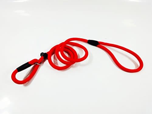 Gefryco Nylon Rope Dog Whisperer Style Slip Training Leash Lead and Collar (Red)