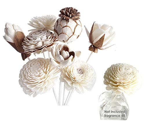 Proudnature Exotic Set of 7 Mixed Sola Wood Flower Aroma Oil Reed Diffuserfor Home Fragrance.