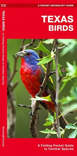 Texas Birds: A Folding Pocket Guide to Familiar Species (Nature Observation North America)