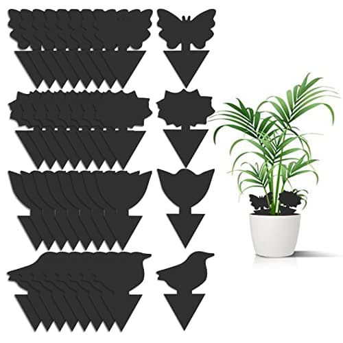 36 Pack Fungus Gnat Traps for House Plants, Sticky Traps for Indoor Outdoor Use to Get Rid of Whitefly Mosquitoes Fungus Gnats Thrips Leafminer Flying Insects Protect Your Plants (Black)