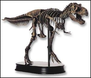 T-Rex Tyrannosaurus T Rex Dinosaur Skeleton Model Statue, 1/20 Scale