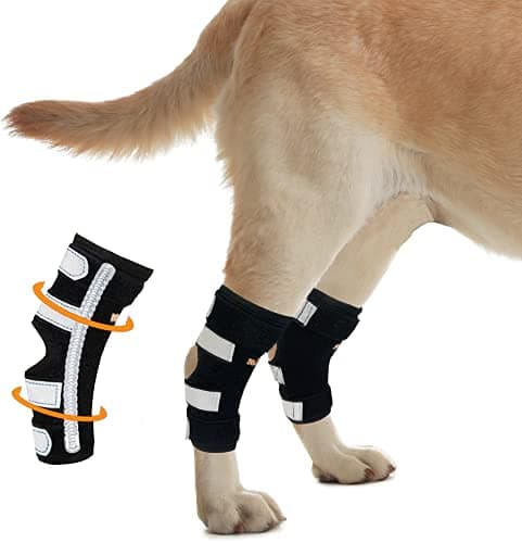 NeoAllyDog Canine Braces for Rear Legs Super Supportive with Dual Metal Spring Inserts to Stabilize Dog Hind Legs, Help Dogs with Injuries, Sprains, Arthritis, ACL (M Pair)