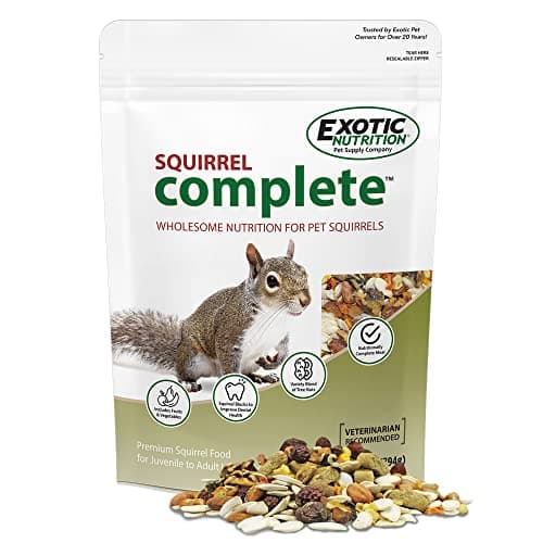 Exotic Nutrition Squirrel Complete (4 lb.) - Healthy Natural Food for Squirrels - Ground, Grey, and Flying Squirrels