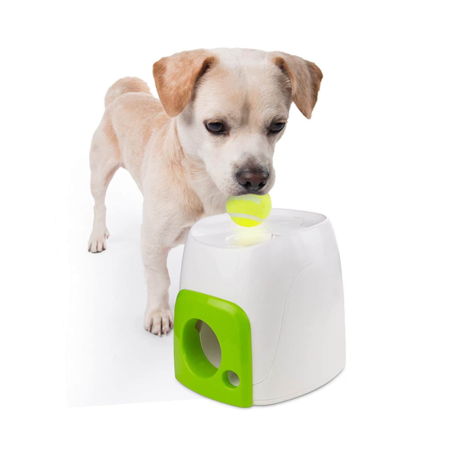 Interactives Fetch'N Treat Toy Dogs, 6.3 Kg, 2073458