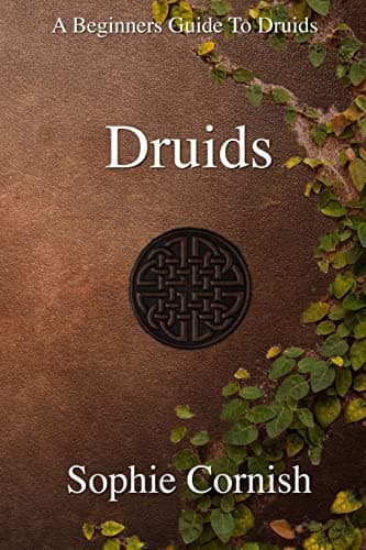 Druids: A Beginners Guide To Druids Paperback – March 14, 2016