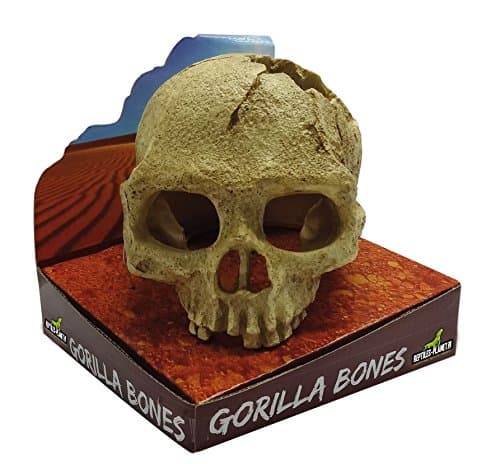 Reptiles Planet Gorilla Bones Hide for Reptiles