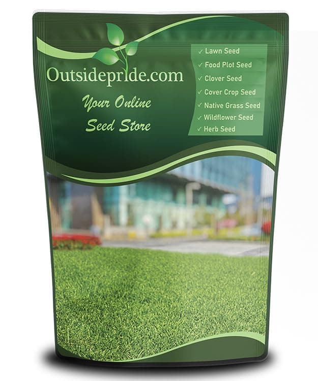 Outsidepride Rescape Seashore Paspalum Turf Grass Seed - 1 lb. Warm Season, Salt & Drought Tolerant Dense Lawn Grass Seed, Perfect for Erosion Control, High Traffic Fields, Beaches, & Coastal Areas