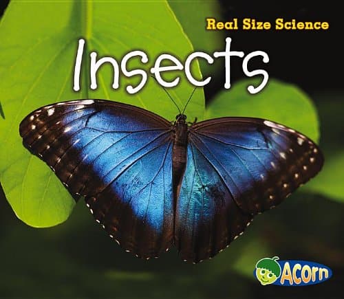Insects (Acorn: Real Size Science) Paperback – August 1, 2013