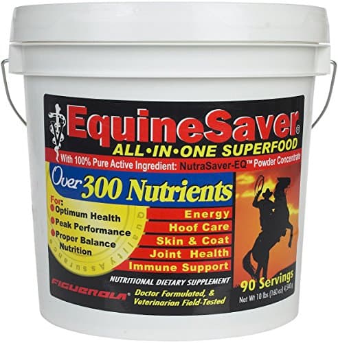 EquineSaver Nutritional Supplement for Horses by Figuerola. Contains NutraSaver-EQ: 300 Key Nutrients to Supply Your Horse’s Nutritional and Therapeutic Needs for Optimal Health and Performance.