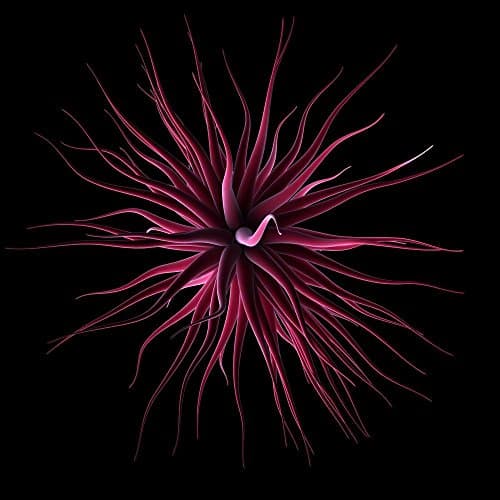 Pitaara Box Abstract Artwork D77 Unframed Canvas Painting 56 X 56Inch