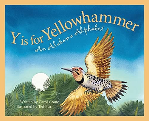 Y is for Yellowhammer: An Alabama Alphabet (Discover America State by State)