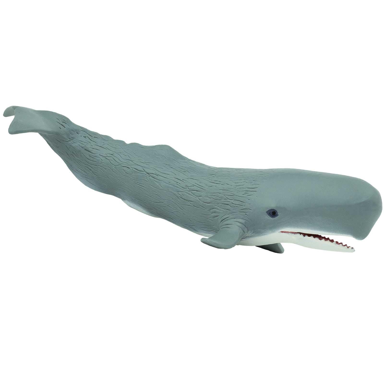 Sea Life Sperm Whale Realistic Hand-Painted Toy Figurine Model For Ages 3 And Up