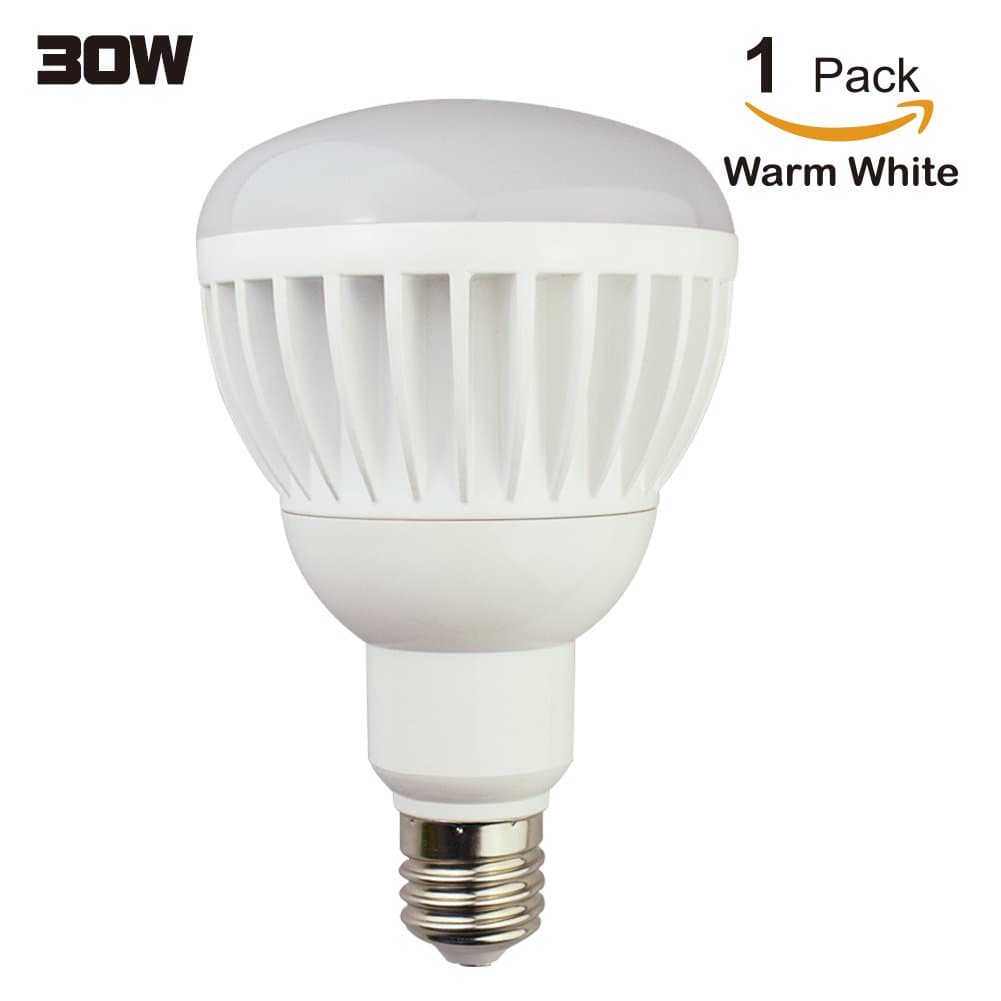 Homelek 30W (200W) Flood LED Bulb,3150 Lumens, High Power Factor, Best for Commercial & Residential Lighting, Warm White 2700 Kelvin, E39 Base.