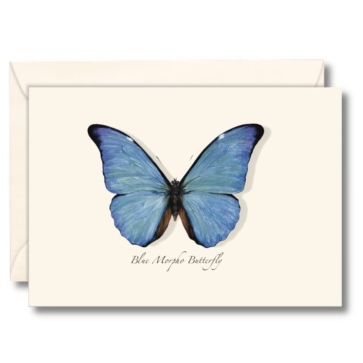 Blue Morpho Butterfly Notecard Set - 8 Blank Cards with Envelopes