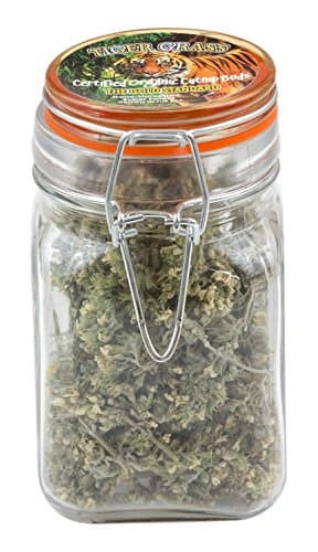Tiger Grass Buds Organic Catnip Airtight Acrylic Jar