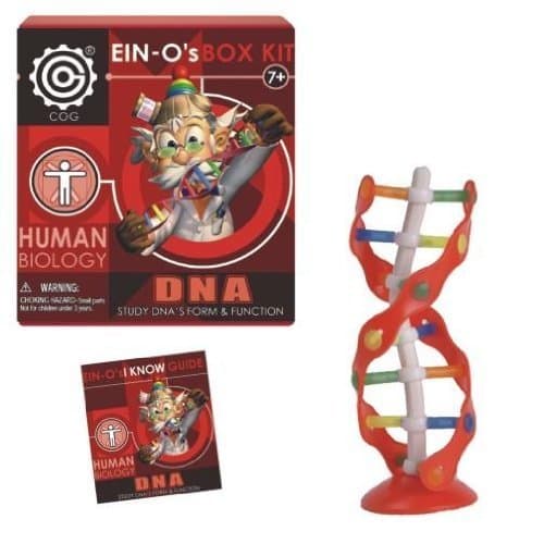DNA: EIN-O's DNA Box Kit