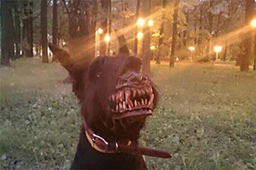 Zombie Werewolf Dog Muzzle Scary Muzzle with Teeth Halloween Muzzle for Dog Anti-Biting Muzzle and Chewing