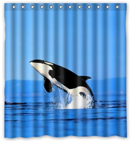 Whale and Fish Friend Water-Proof Polyester Fabric (66" x 72" ) Shower Curtain