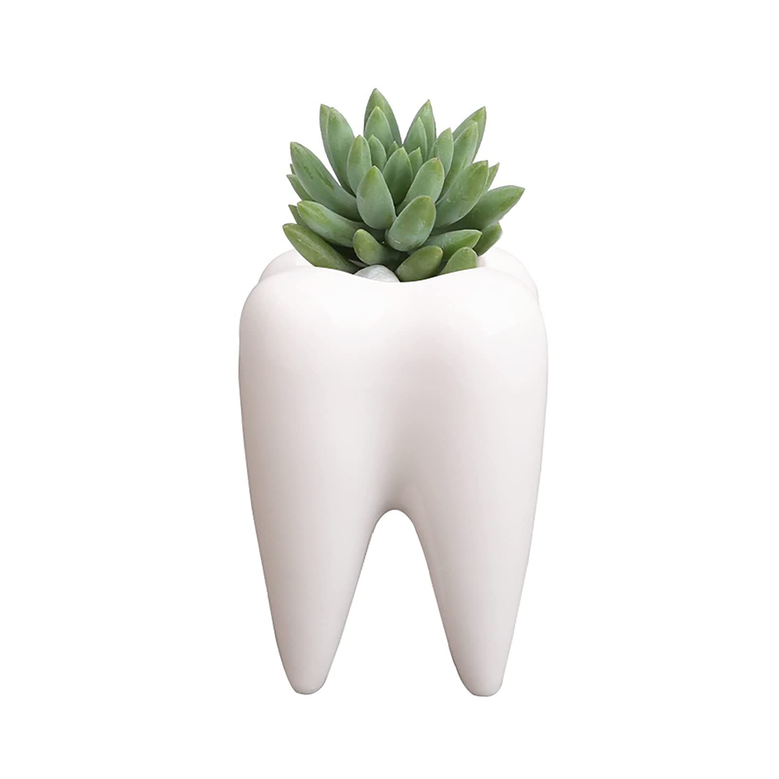 Succulent Plant Pots, Cute Tooth Shape White Ceramic Planter Cactus Plant Pot Flower Vase, Creative Pen Pencil Holder for Office Home Desk Deco (Plants Not Included)