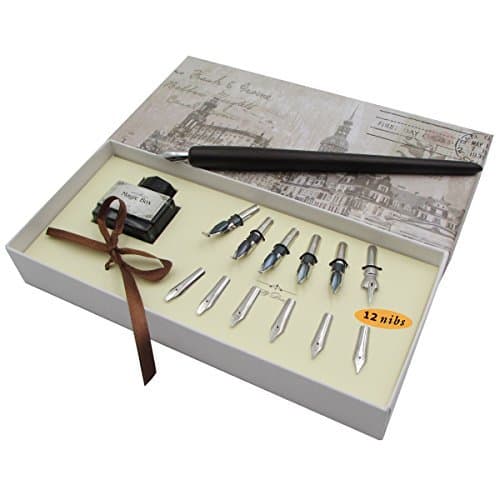 AIVN Deluxe 21-Piece Glass Pen Calligraphy Set: Includes 2 Elegant Glass Pens, 16 Bottles of Ink, Pen Holder, Cleaning Cup & Instructional Guidebook