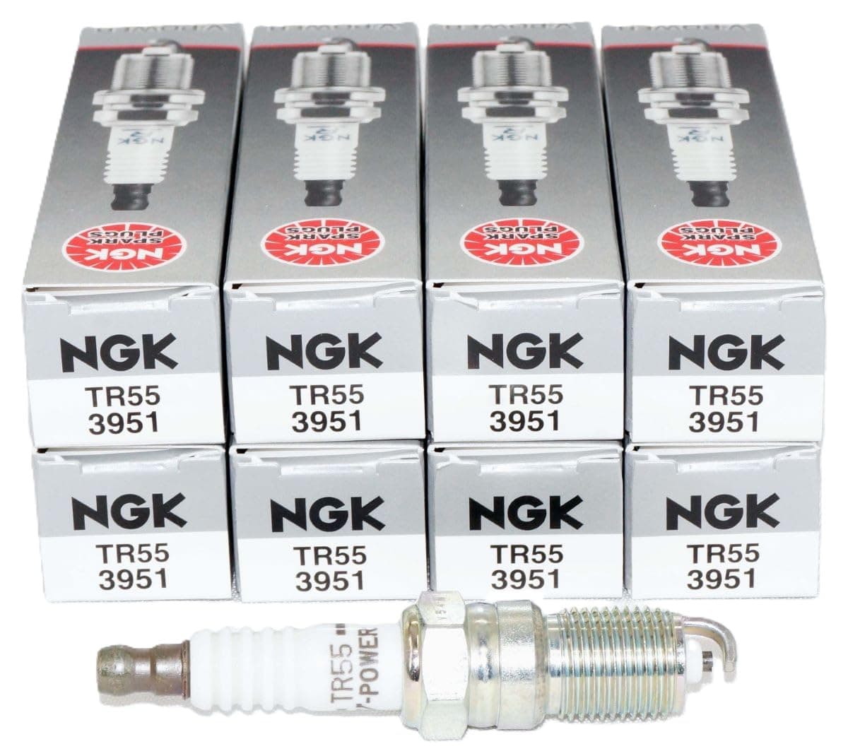 3951 Pack of 8 Spark Plugs (TR55)
