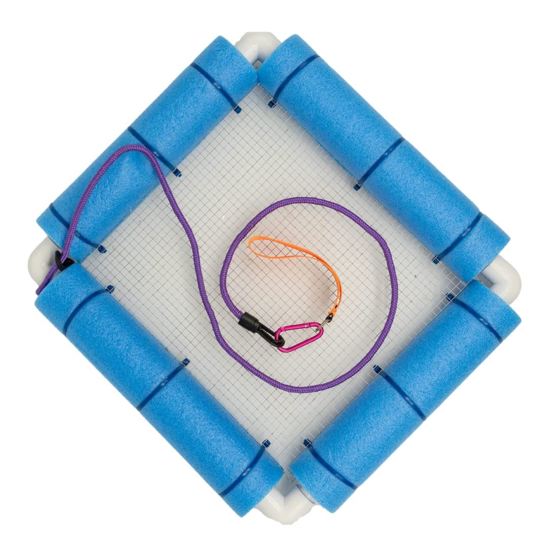 RELODECORBeachcombing Shark Tooth Sifter - Lightweight Sand Sifter for Shark Teeth and Fossil Hunting, Durable with Comfortable Grip and Wrist Strap