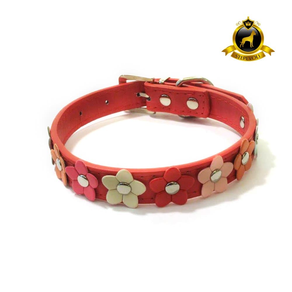 Stepevoli Dog Collar with Petite Flowers - Comes in RED Colour and C2 Size