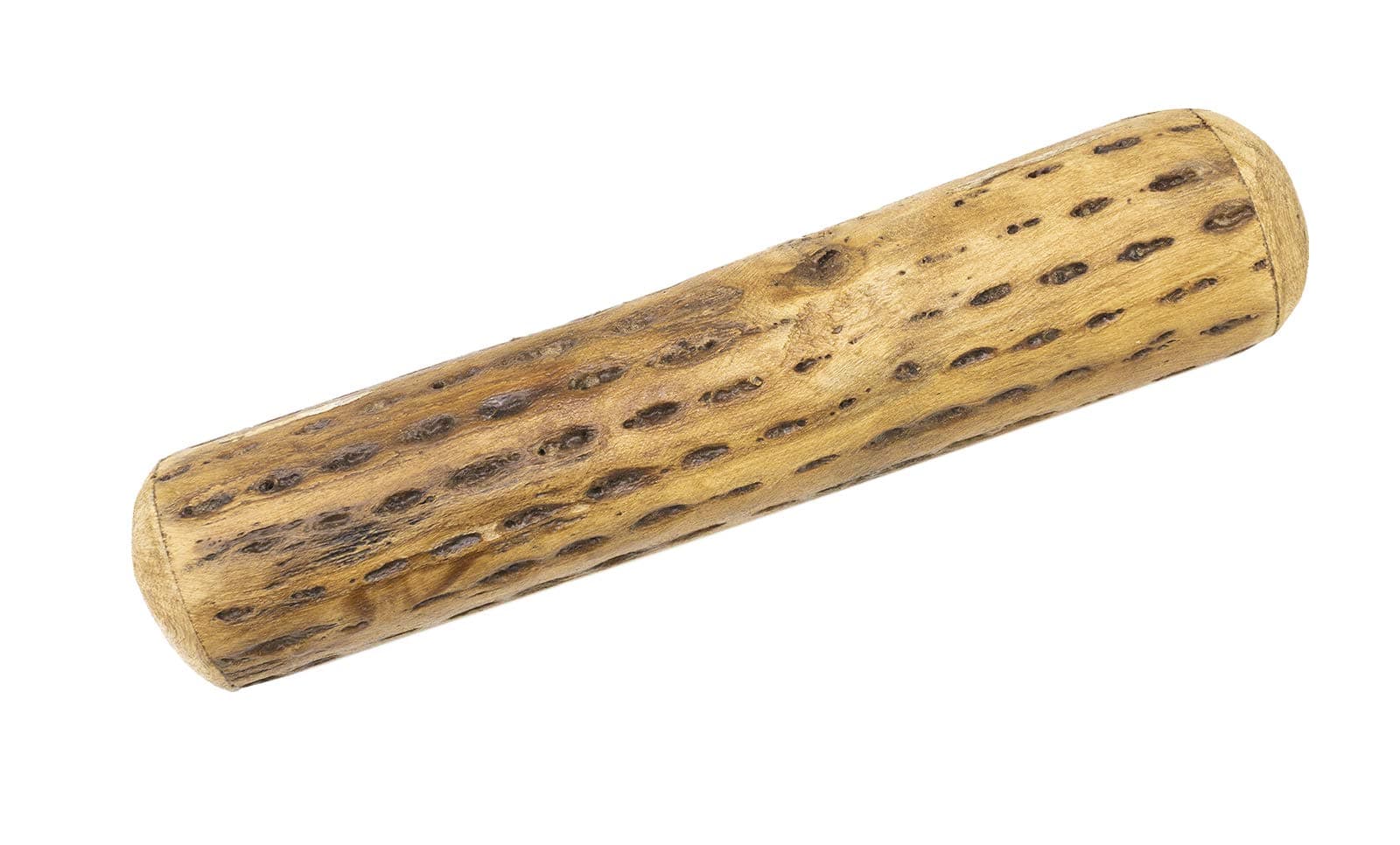 Cactus Rainstick Rain Pipe 25 cm Fair Trade Rattle