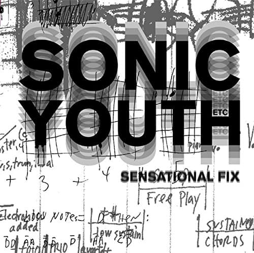 Sonic Youth: Sensational Fix Hardcover – March 1, 2009