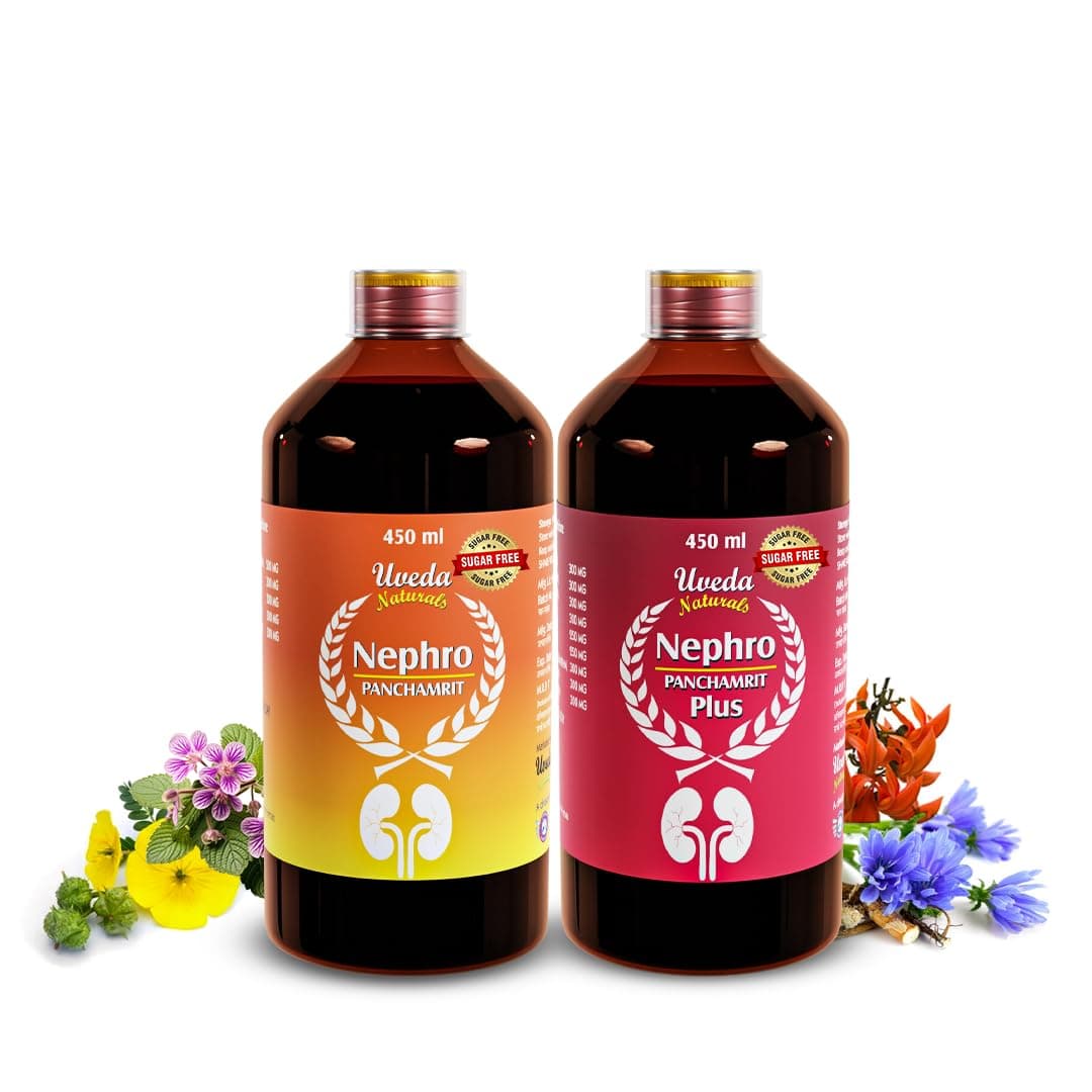 Nephro Panchamrit And Panchamrit Plus Sugar Free (1 combo)