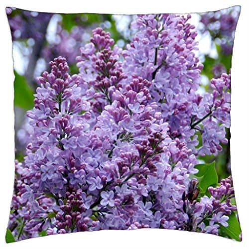 Treasure Design Funny Okay The Fault in Our Stars- John Green Black Berry Z10 Best Durable Case