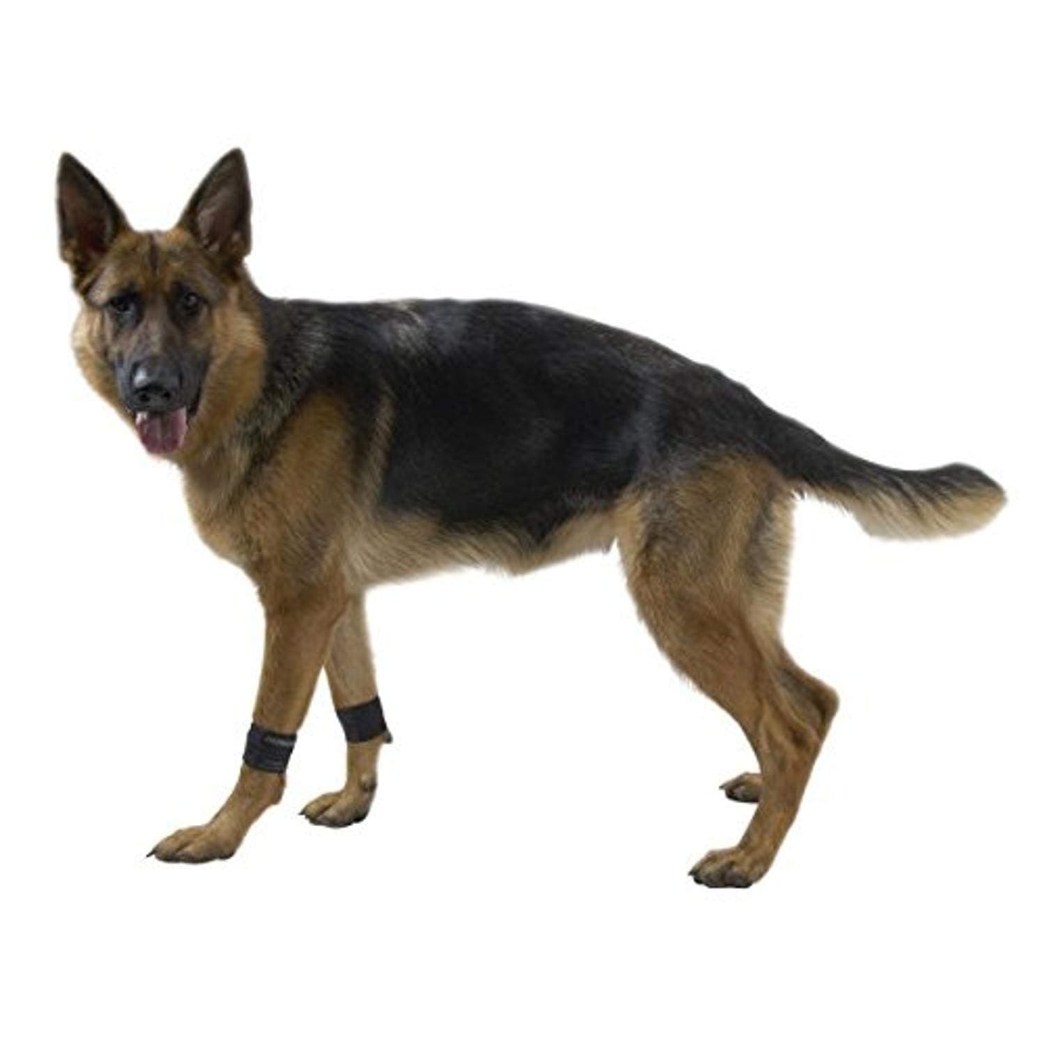 Kruuse Rehab Carpal Joint Protector for Dogs, X-Large