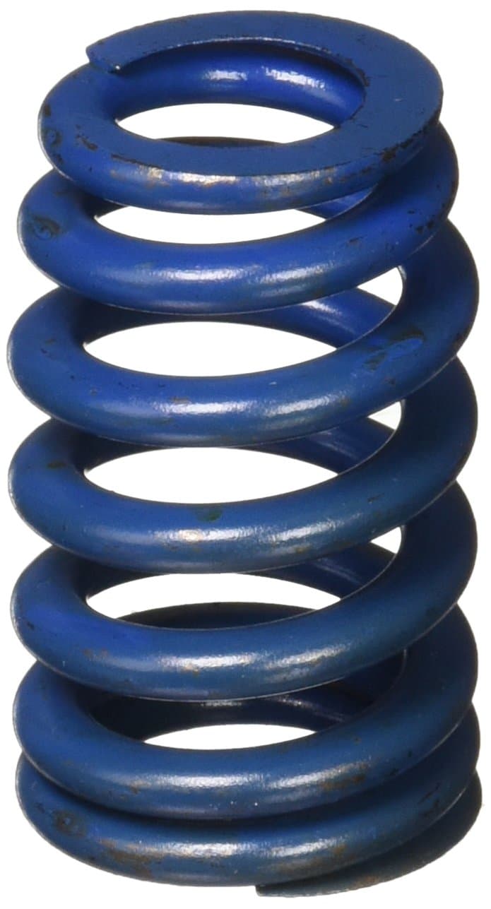 General Motors GM Parts 12499224 Valve Spring for LS1 Engine